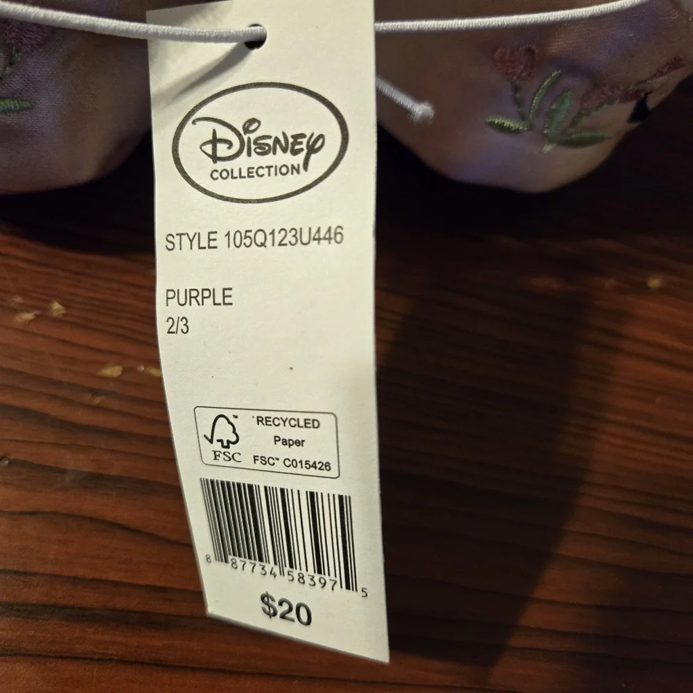 Disney Collection Princess slippers sz 2/3